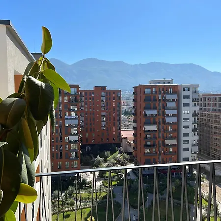 Zirkon Rush * 地拉那