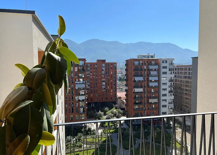 Zirkon Rush * 地拉那